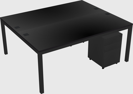 Shared Rectangular Desk