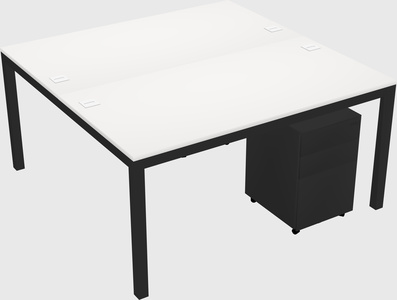 Shared Rectangular Desk