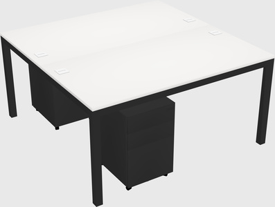 Shared rectangular desk