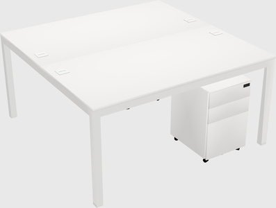 Shared Rectangular Desk