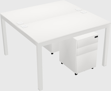 Shared Rectangular Desk