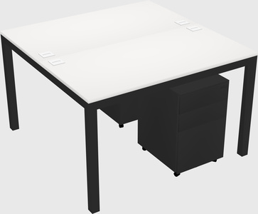 Shared Rectangular Desk
