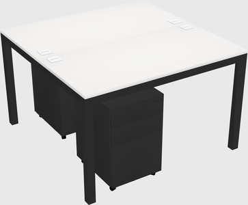 Shared rectangular desk