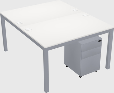 Shared Rectangular Desk