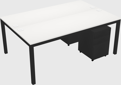 Shared Rectangular Desk