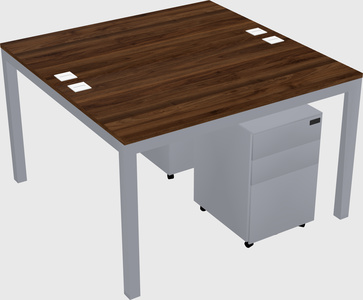 Shared Rectangular Desk
