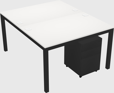 Shared Rectangular Desk