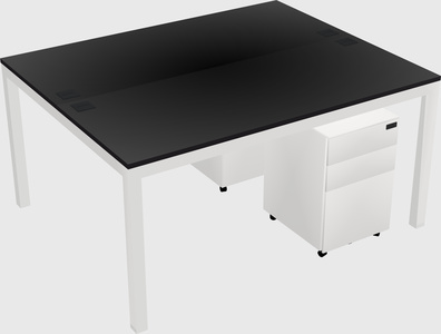 Shared Rectangular Desk
