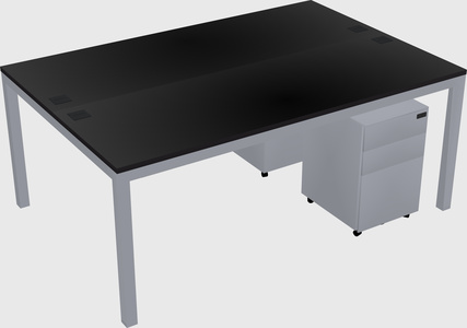 Shared Rectangular Desk