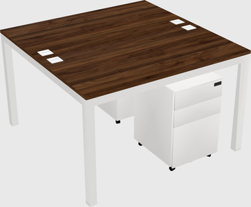 Shared Rectangular Desk