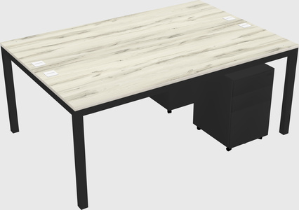 Shared Rectangular Desk