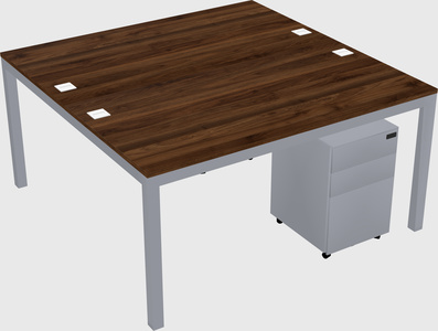 Shared Rectangular Desk