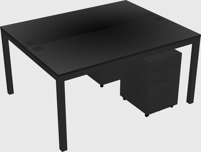 Shared Rectangular Desk