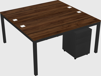 Shared Rectangular Desk
