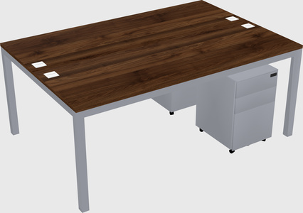Shared Rectangular Desk