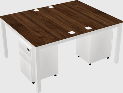 Shared rectangular desk