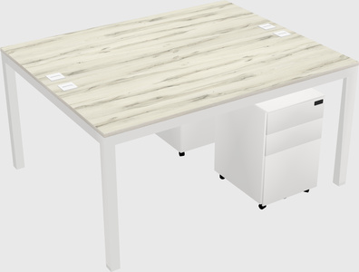 Shared Rectangular Desk