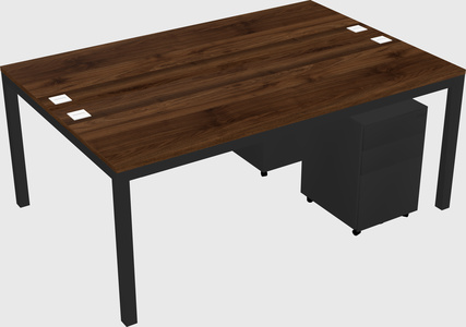 Shared Rectangular Desk