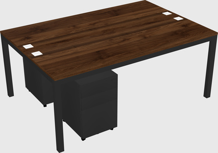 Shared rectangular desk