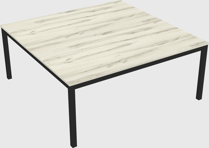 Shared Rectangular Desk
