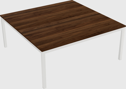 Shared Rectangular Desk