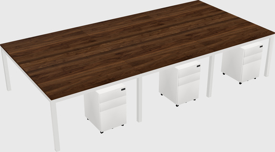 Shared Rectangular Desk
