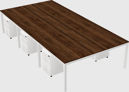 Shared rectangular desk