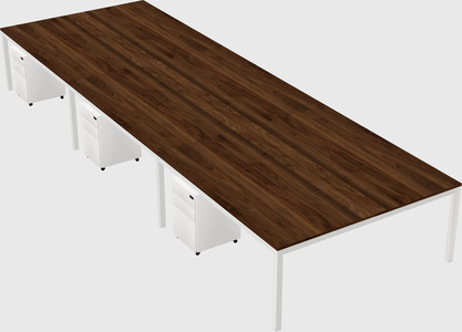 Shared rectangular desk