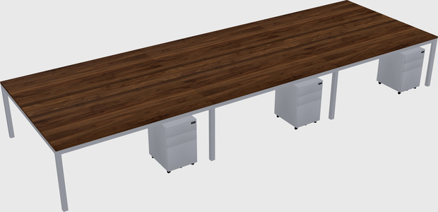 Shared Rectangular Desk