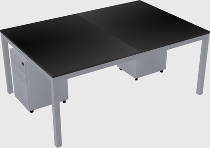 Shared rectangular desk