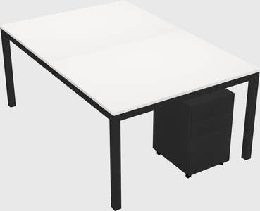 Shared Rectangular Desk