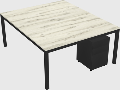 Shared Rectangular Desk