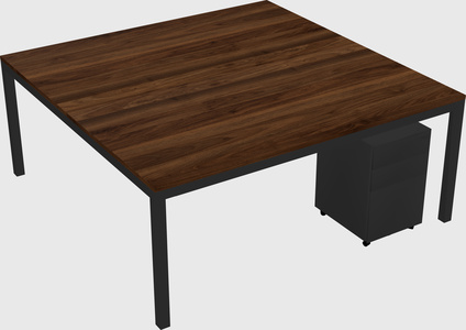 Shared Rectangular Desk