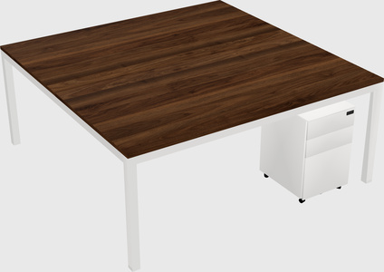 Shared Rectangular Desk