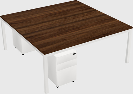 Shared rectangular desk