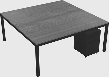 Shared Rectangular Desk