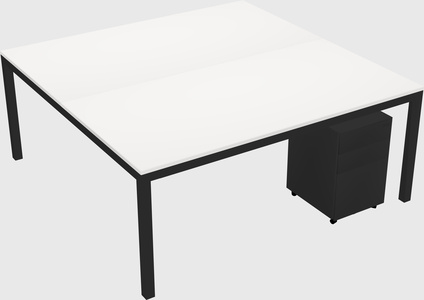 Shared Rectangular Desk