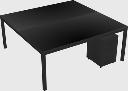 Shared Rectangular Desk