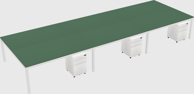 Shared Rectangular Desk