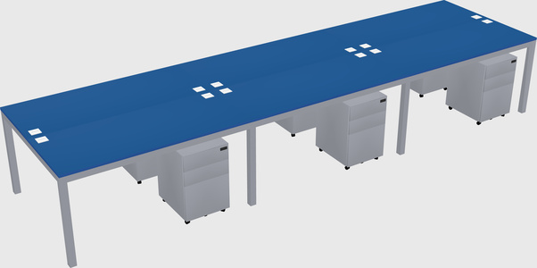 Shared Rectangular Desk