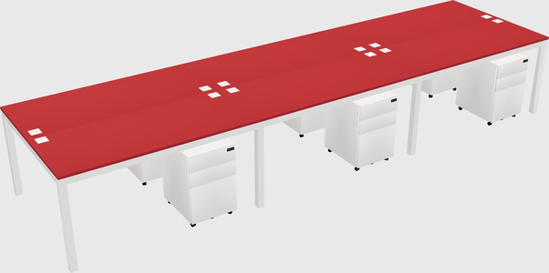 Shared Rectangular Desk