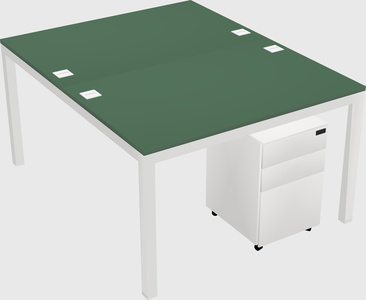 Shared Rectangular Desk