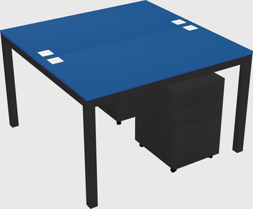 Shared Rectangular Desk