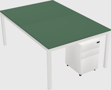 Shared Rectangular Desk