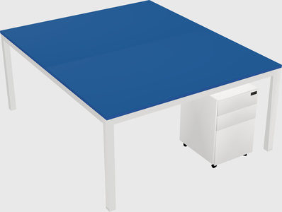 Shared Rectangular Desk