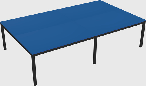 Shared Rectangular Desk