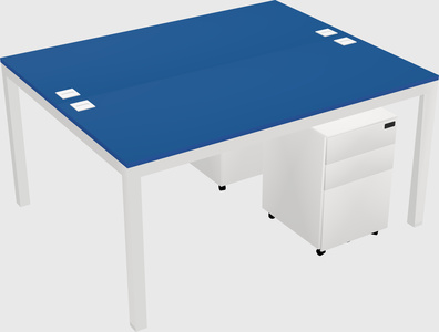 Shared Rectangular Desk