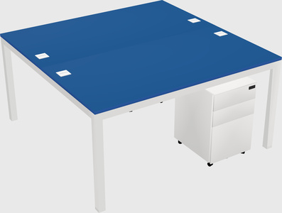 Shared Rectangular Desk
