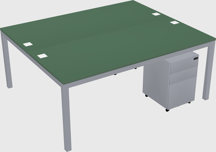 Shared Rectangular Desk