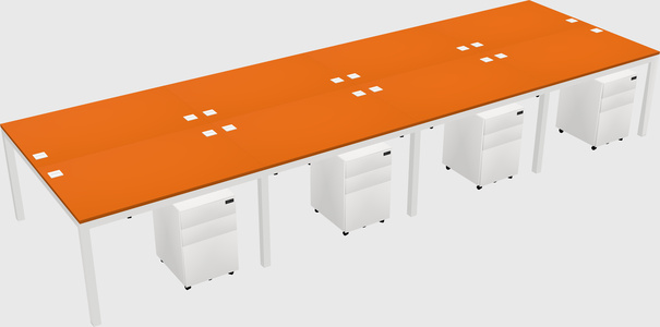 Shared Rectangular Desk